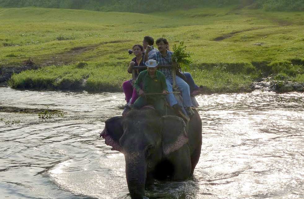 elephant-safari