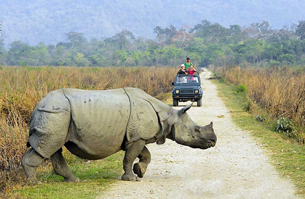 jeep-safari